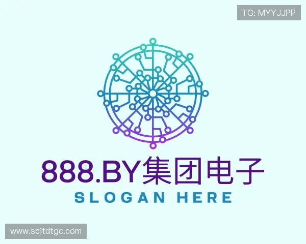 关于888.BY集团电子